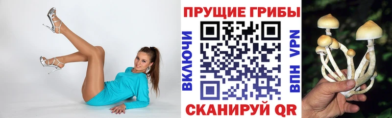 Галлюциногенные грибы Magic Shrooms  Бугуруслан 